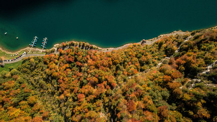 Top down view drone photography of autumn forest at lakeside lake shore water kl&ouml;ntalersee glarus Switzerland Schweiz