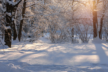 park on a cold winter