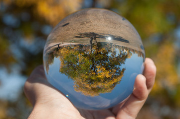 A glass ball of nature