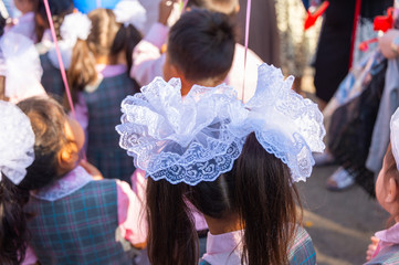 schoolgirl with braids and white onions September 1