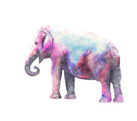 Elephant female watercolor