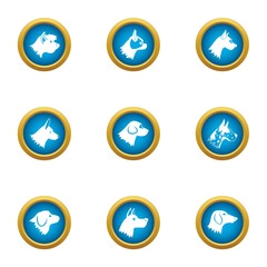 Wolfhound icons set. Flat set of 9 wolfhound vector icons for web isolated on white background