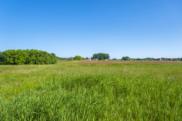 Landscape near Baabe