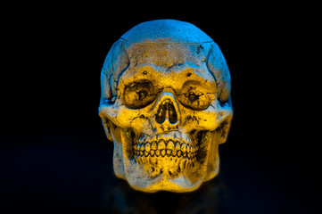 Ceramic skulls on black background. Halloween decor.