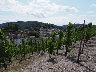 Stadt Saarburg an der Saar - inmitten von Weinbergen in Rheinland-Pfalz
