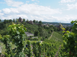 Burg Saarburg – auf dem Burgberg Saarburg bei der Stadt Saarburg in Rheinland-Pfalz
