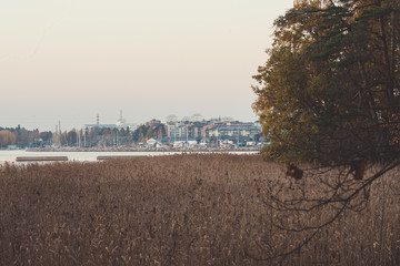 Autumn city