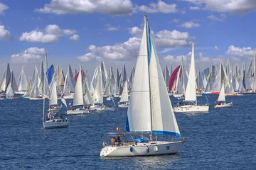 Poster Sailing Regatta Barcolana in the Gulf of Trieste, Italy