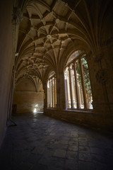 Fototapeta na wymiar San Esteban de Salamanca, claustro de los Reyes en España. 
