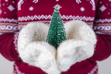 Cold care decor concept. Close up cropped photo of fluffy cute white gloved holding showing giving small tree with snow isolated on gray background