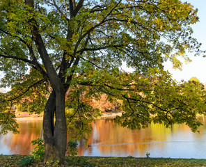 Indian Summer, Schönheit des Herbstes am See, Spätsommer, Indian Summer, wundervolle Farben im Wald, weiches, stimmungsvolles Licht :)