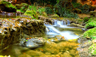 autumn stream in the forest, gold autumn European landscape