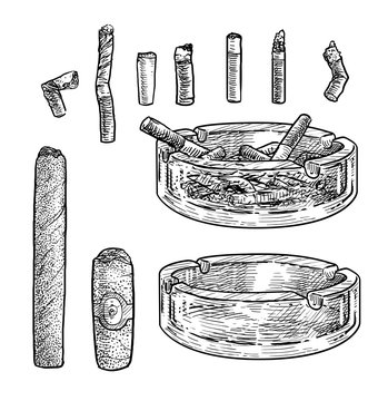 Ashtray with cigarettes illustration, drawing, engraving, ink, line art, vector