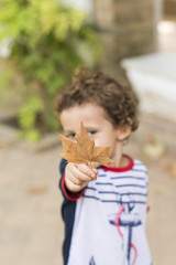 Child playing with an autumn fall leaf