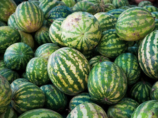 Fototapeta na wymiar A lot of large ripe green striped watermelons close up background