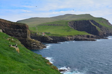 Mykines, Îles Féroé - Mykines Faroe Islands