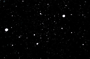Snowstorm texture. Bokeh lights on black background, shot of flying snowflakes in the air