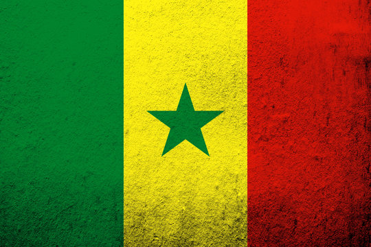 The Republic of Senegal National flag. Grunge background
