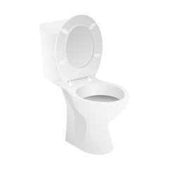 White toilet bowl