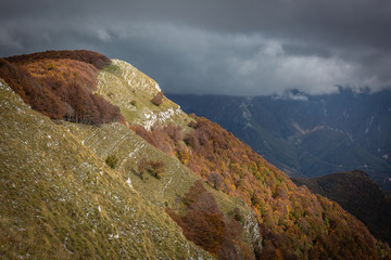 La Monna dell'Orso - Autunno