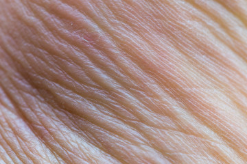 wrinkles on the leg, macro