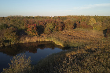 Autumn landscape