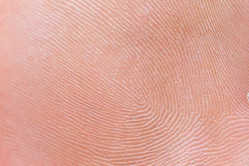 Foto auf Acrylglas Makrofotografie menschlicher Fingerabdruck, Makro