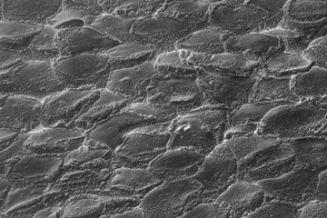 Gray old cement wall concrete backgrounds textured.