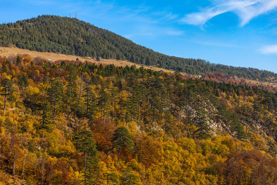 Autumn scenery