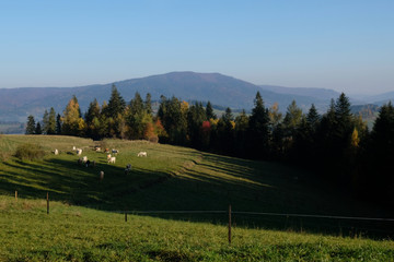 Polska, góry Gorce - jesienna, górska panorama © Iwona