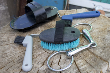 Horse care equipment: brushes of various sizes and purposes