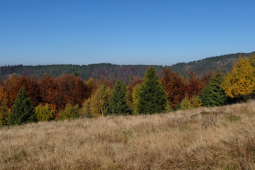 Fototapeta premium Polska, góry Gorce - jesienna panorama