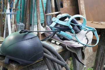 Equipment for horse care and riding: brushes of various sizes and purposes, bridle, whip, helmet,...