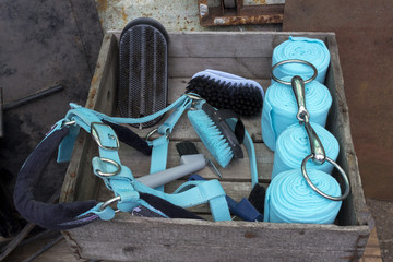 Equipment for horse care and riding: brushes of various sizes and purposes, bridle, helmet, bandages