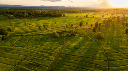 Aerial view rice terraces view the sunset from drone fly and shade Asian landscapes.