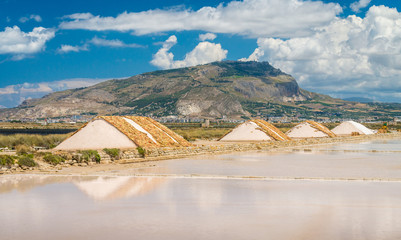 Salt pans in the sun with Erice mountain in the background. Trapani salt flats, Sicily, southern...