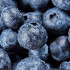 Blueberries background from natural organic freshly picked fruits. Macro of ripe fresh blueberries for fruits pie.
