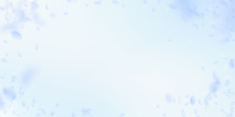 Light blue flower petals falling down. Sublime rom