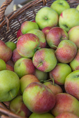 Red and green apples, freshly picked, are stored in a basket.