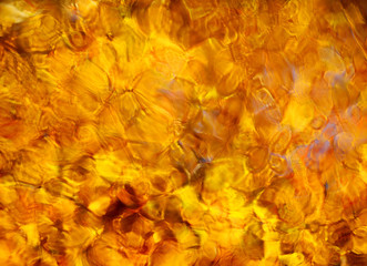 Naklejka na ściany i meble Autumn abstract background yellow fallen leaves in water