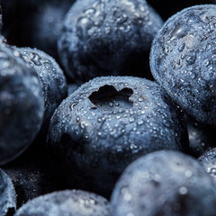 Fresh sweet berries for cooking fruit pie. Close-up of berries in a droplets with soft focus.