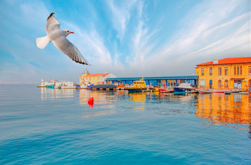 Pasaport Pier with seagull - izmir Turkey