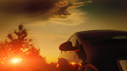Car on the roar and tree on the sunset