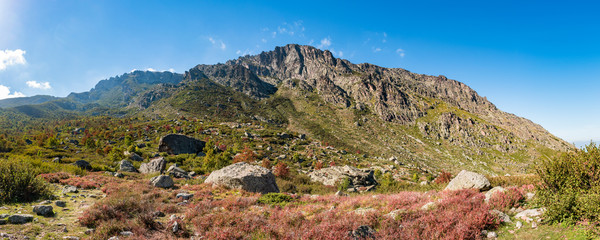 Panoramic view of Monte Cardo located in the Regional Natural Park of Corsica, on a bright sunny day with green and red foliage and boulders in the foreground.