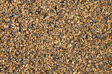 sunflower seeds background