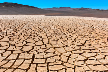 Dry cracked earth, Atacama, Chile