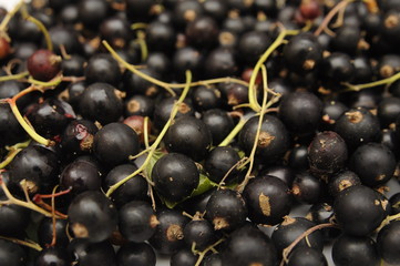 bunch of black grapes