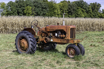 Aging tractor in a cornfield. 
