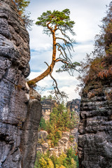 Bastei in der Sächsischen Schweiz - Elbtal

