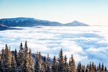 View of the misty valley. Location Carpathian, Ukraine, Europe.